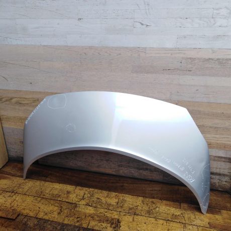 kapot-renault-scenic-2-defekt-bg9-art-51954-big-0