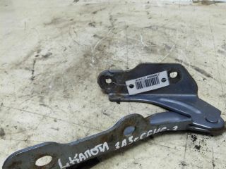 petlia-kapota-levaia-zaz-sens-art-54132