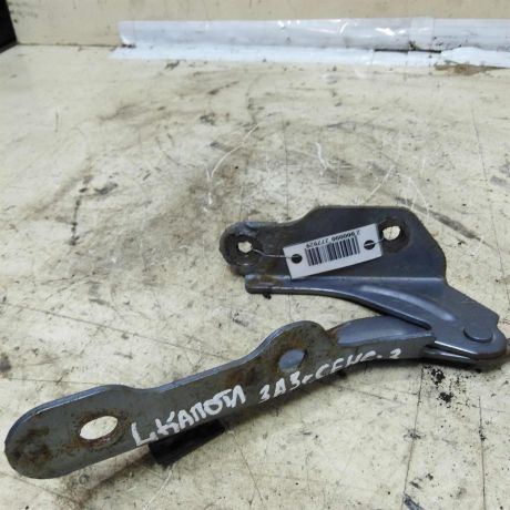 petlia-kapota-levaia-zaz-sens-art-54132-big-0