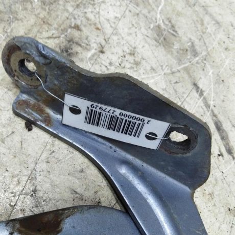 petlia-kapota-levaia-zaz-sens-art-54132-big-1