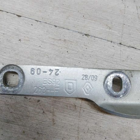 petlia-kapota-levaia-renault-logan-09gv-art-54662-big-1