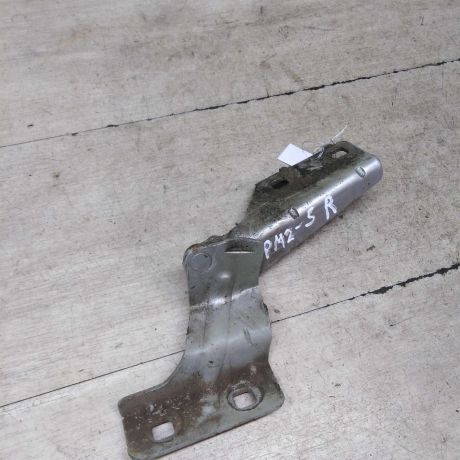 petlia-kapota-pravaia-renault-megane-2-art-63138-big-1