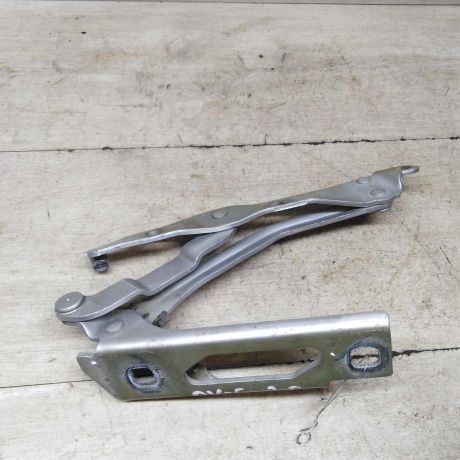 petlia-bagaznika-zadniaia-pravaia-sedan-opel-vectra-c-rest-art-63285-big-0