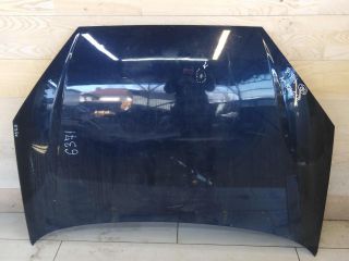 kapot-perednii-ford-focus-1-art-64751