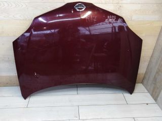 kapot-nissan-primera-p12-original-art-64800