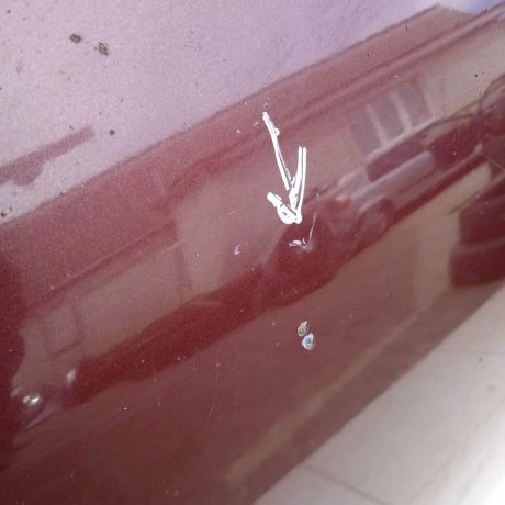 kapot-nissan-primera-p12-original-art-64800-big-3