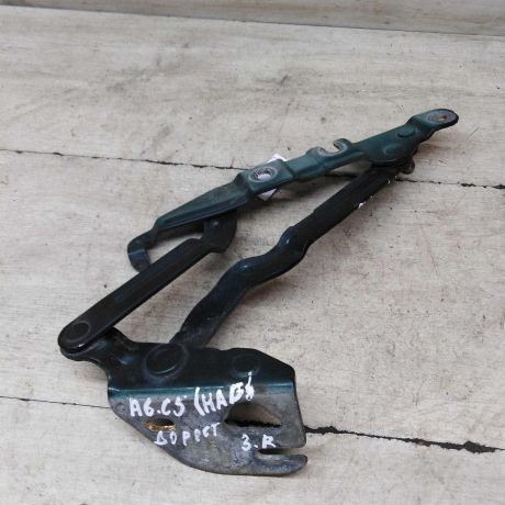 petlia-kryski-bagaznika-pravaia-sedan-audi-a6-c5-art-65027-big-0