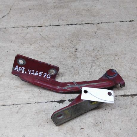 petlia-kapota-pravaia-ford-focus-1-art-66250-big-2