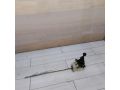 kulisa-mkpp-daewoo-nexia-restailing-art-78229-small-0