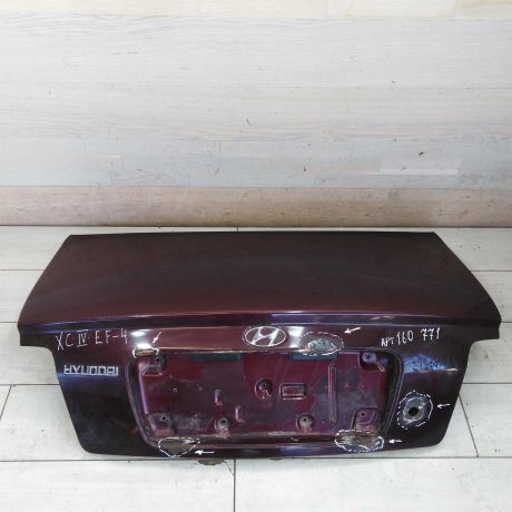 kryska-bagaznika-hyundai-sonata-4-ef-art-82928-big-0