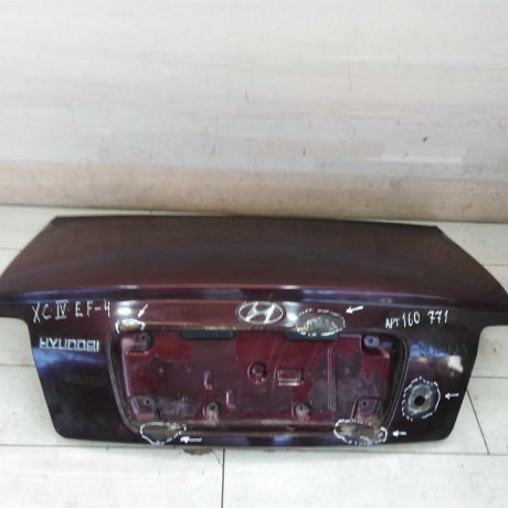 kryska-bagaznika-hyundai-sonata-4-ef-art-82928-big-4
