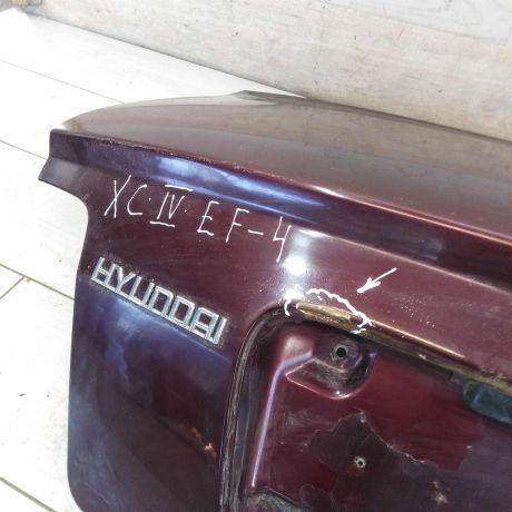 kryska-bagaznika-hyundai-sonata-4-ef-art-82928-big-3