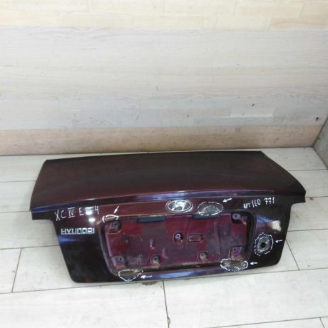 kryska-bagaznika-hyundai-sonata-4-ef-art-82928-big-2