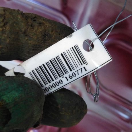 kryska-bagaznika-hyundai-sonata-4-ef-art-82928-big-9