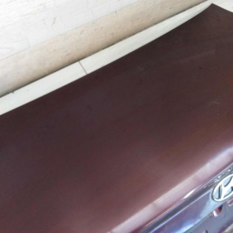 kryska-bagaznika-hyundai-sonata-4-ef-art-82928-big-8