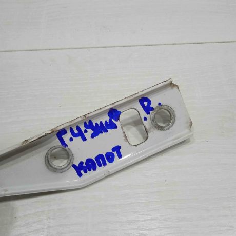 petlia-kapota-pravaia-volkswagen-golf-4-volkswagen-bora-art-83688-big-2