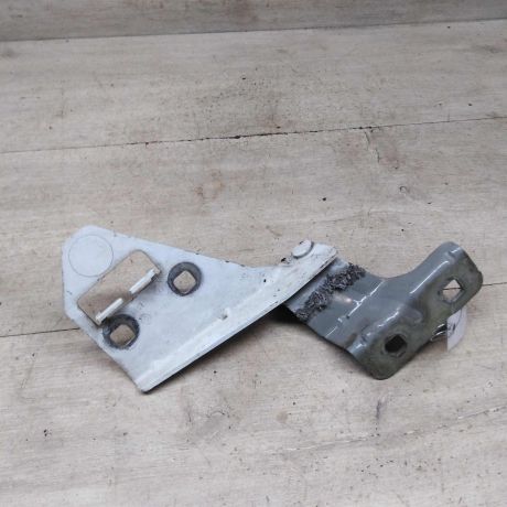 petlia-kapota-pravaia-renault-megane-ii-art-86111-big-2