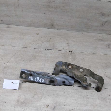 petlia-kapota-pravaia-kia-carens-i-rs-art-86841-big-0