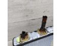 radiator-pecki-salona-nissan-primera-p12-art-87129-small-1