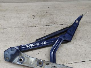 petlia-bagaznika-zadniaia-pravaia-ford-focus-2-sedan-art-87515