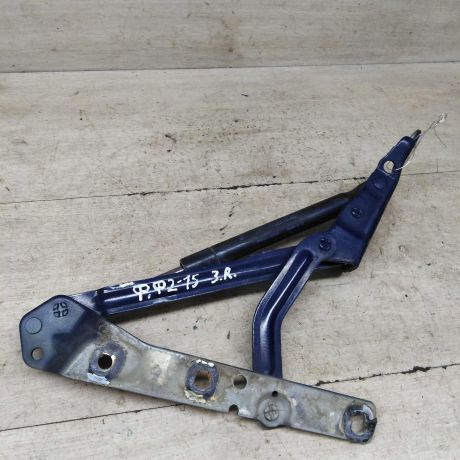 petlia-bagaznika-zadniaia-pravaia-ford-focus-2-sedan-art-87515-big-0