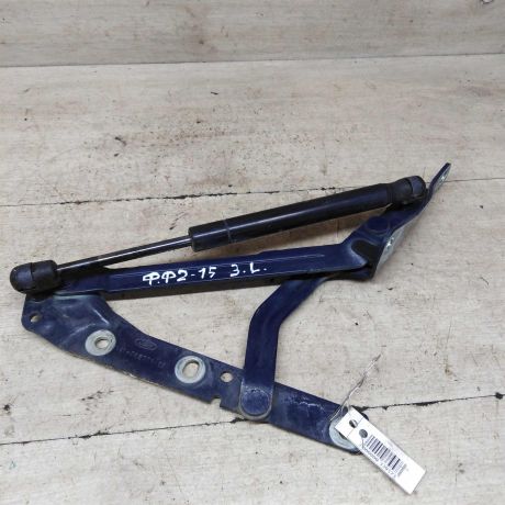 petlia-kryski-bagaznika-zadniaia-levaia-ford-focus-2-sedan-art-87537-big-0