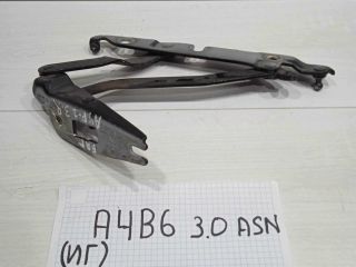 petlia-bagaznika-zadniaia-pravaia-sedan-audi-a4-b6-art-87712