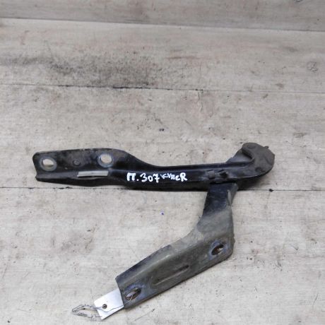 petlia-kapota-pravaia-peugeot-307-art-88170-big-2