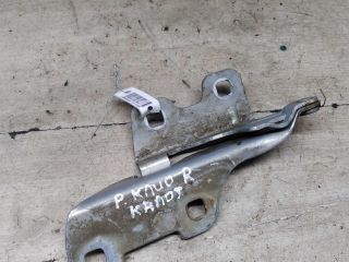 petlia-kapota-pravaia-renault-clio-ii-dorestailing-art-91652