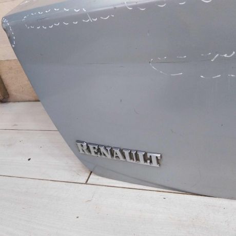 krysa-bagaznika-renault-clio-ii-defekt-art-91684-big-9