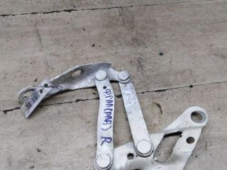 petlia-kapota-pravaia-ford-galaxy-art-91992