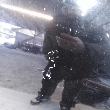 kapot-opel-vectra-c-dorestailing-art-95758-big-1