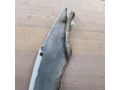 krylo-perednee-levoe-ford-focus-i-restailing-art-98207-small-9