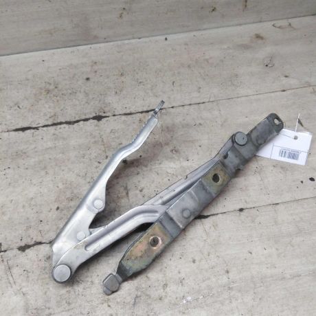 petlia-kryski-bagaznika-levaia-volvo-s40-art-98832-big-0