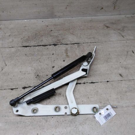 petlia-kryski-bagaznika-ford-focus-i-art-98884-big-2