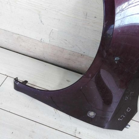 krylo-perednee-levoe-skoda-fabia-ii-art-100427-big-1