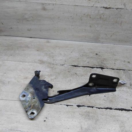 petlia-kapota-levaia-renault-fluence-i-art-101408-big-0