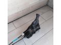 kulisa-mkpp-renault-fluence-i-art-101555-small-1
