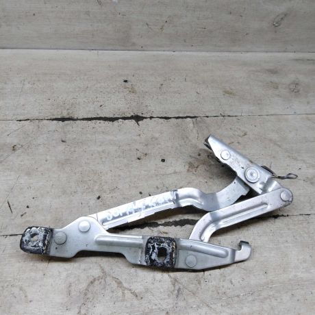 petlia-kryski-bagaznika-levaia-volkswagen-bora-volkswagen-jetta-4-art-102600-big-0