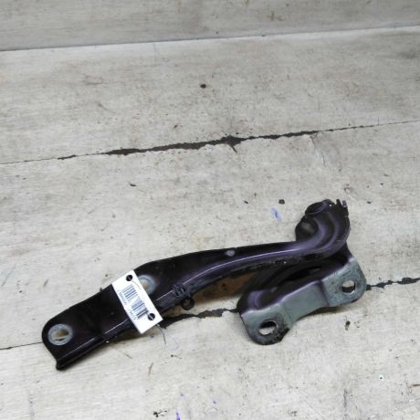 petlia-kapota-pravaia-geely-emgrand-x7-art-103246-big-0