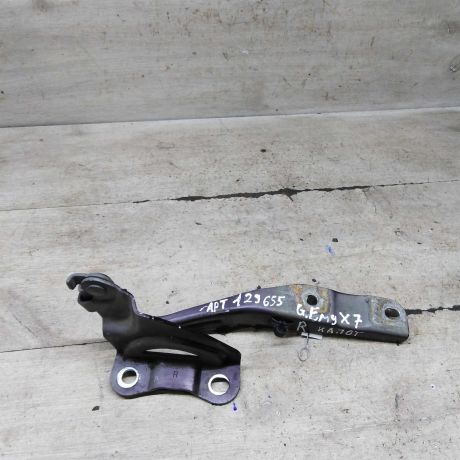 petlia-kapota-pravaia-geely-emgrand-x7-art-103246-big-2