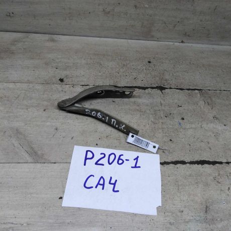 petlia-kapota-pravaia-peugeot-206-restailing-art-105529-big-1