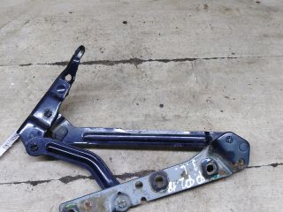 petlia-kryski-bagaznika-ford-focus-2-levaia-art-106425