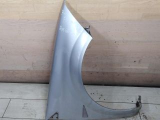 krylo-perednee-pravoe-renault-megane-ii-art-106602