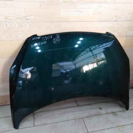 kapot-peugeot-307-dorestailing-art-107358-big-0