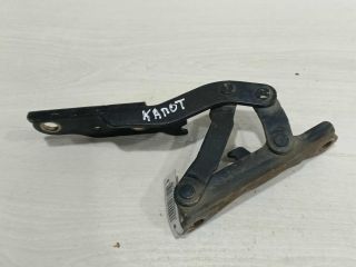 petlia-kapota-levaia-hyundai-sonata-4-ef-art-107490