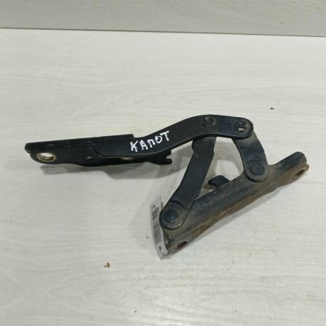 petlia-kapota-levaia-hyundai-sonata-4-ef-art-107490-big-0