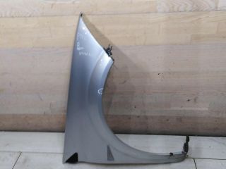 krylo-perednee-levoe-renault-megane-ii-defekt-art-107516