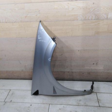 krylo-perednee-levoe-renault-megane-ii-defekt-art-107516-big-0