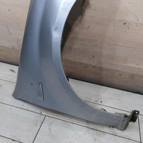 krylo-perednee-pravoe-renault-sandero-i-defekty-art-108407-big-1